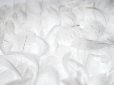 羽毛布団のリフォームイメージ